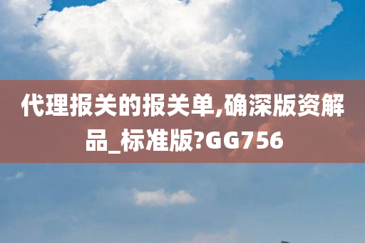 代理报关的报关单,确深版资解品_标准版?GG756