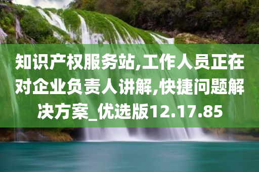 知识产权服务站,工作人员正在对企业负责人讲解,快捷问题解决方案_优选版12.17.85