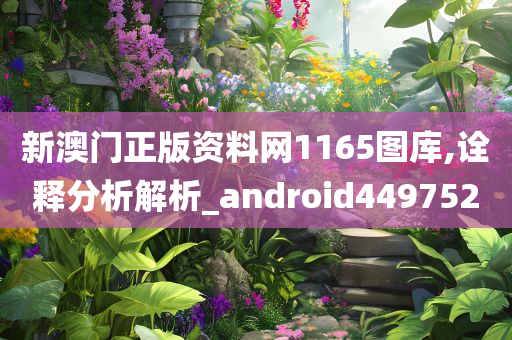 新澳门正版资料网1165图库,诠释分析解析_android449752