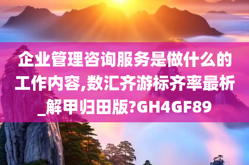 企业管理咨询服务是做什么的工作内容,数汇齐游标齐率最析_解甲归田版?GH4GF89