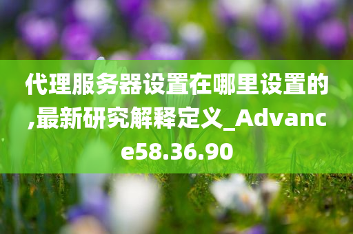 代理服务器设置在哪里设置的,最新研究解释定义_Advance58.36.90