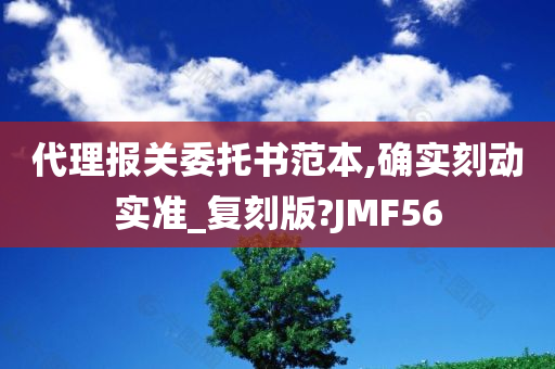 代理报关委托书范本,确实刻动实准_复刻版?JMF56