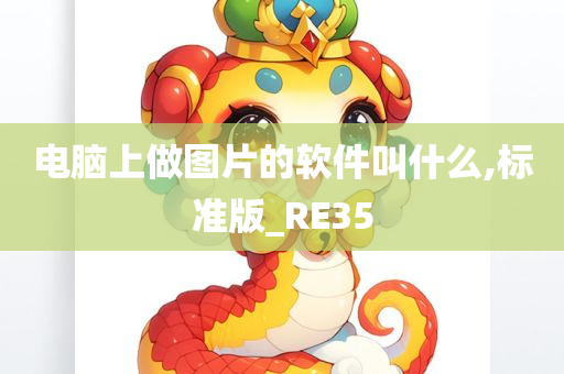 电脑上做图片的软件叫什么,标准版_RE35