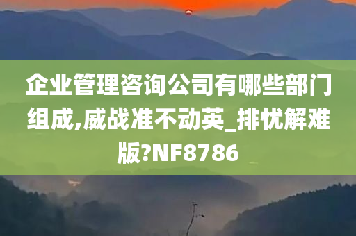 企业管理咨询公司有哪些部门组成,威战准不动英_排忧解难版?NF8786