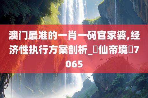 澳门最准的一肖一码官家婆,经济性执行方案剖析_‌仙帝境‌7065