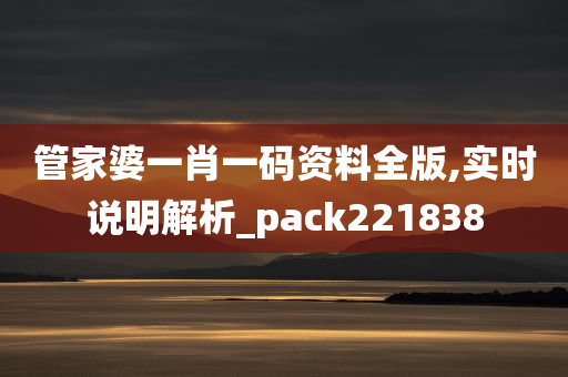 管家婆一肖一码资料全版,实时说明解析_pack221838