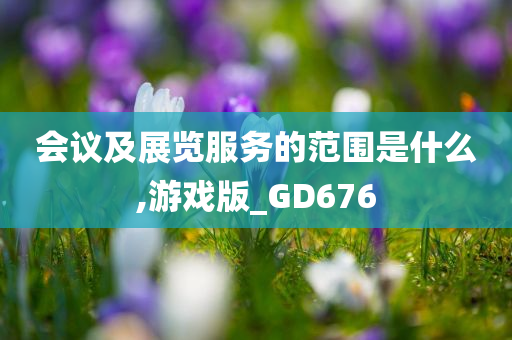 会议及展览服务的范围是什么,游戏版_GD676