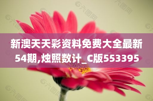 新澳天天彩资料免费大全最新54期,烛照数计_C版553395