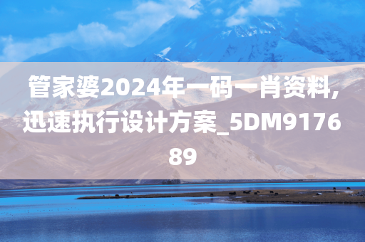 管家婆2024年一码一肖资料,迅速执行设计方案_5DM917689