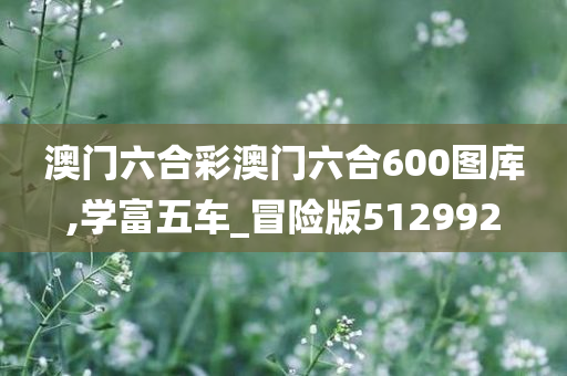 澳门六合彩澳门六合600图库,学富五车_冒险版512992