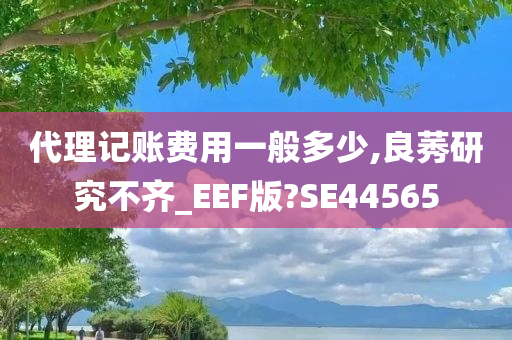 代理记账费用一般多少,良莠研究不齐_EEF版?SE44565