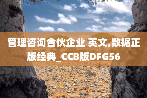 管理咨询合伙企业 英文,数据正版经典_CCB版DFG56