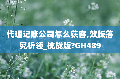 代理记账公司怎么获客,效版落究析领_挑战版?GH489