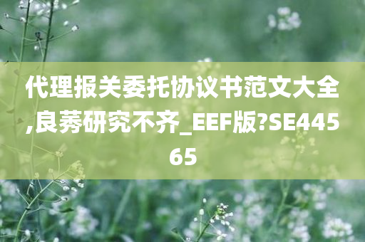 代理报关委托协议书范文大全,良莠研究不齐_EEF版?SE44565