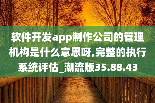 软件开发app制作公司的管理机构是什么意思呀,完整的执行系统评估_潮流版35.88.43