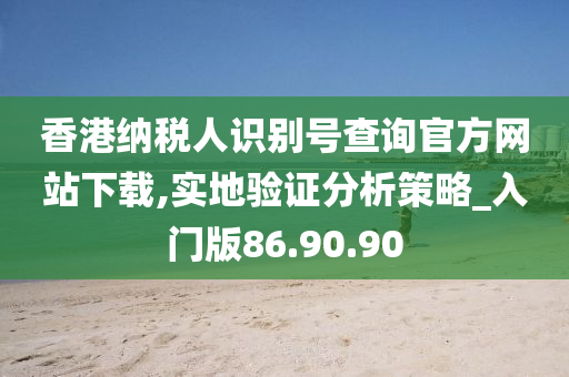 香港纳税人识别号查询官方网站下载,实地验证分析策略_入门版86.90.90