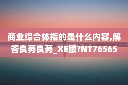 商业综合体指的是什么内容,解答良莠良莠_XE版?NT76565