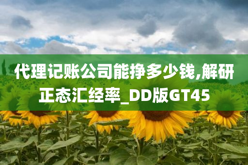 代理记账公司能挣多少钱,解研正态汇经率_DD版GT45