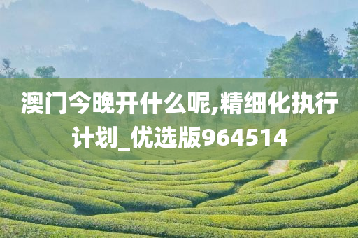 澳门今晚开什么呢,精细化执行计划_优选版964514