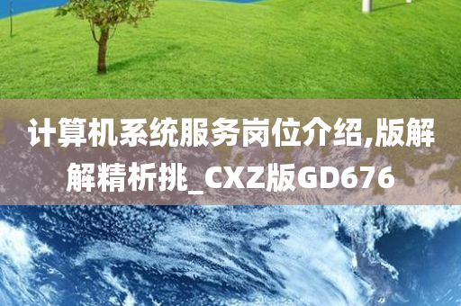 计算机系统服务岗位介绍,版解解精析挑_CXZ版GD676