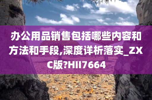 办公用品销售包括哪些内容和方法和手段,深度详析落实_ZXC版?HII7664