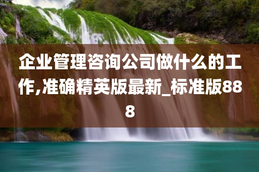 企业管理咨询公司做什么的工作,准确精英版最新_标准版888