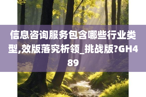 信息咨询服务包含哪些行业类型,效版落究析领_挑战版?GH489