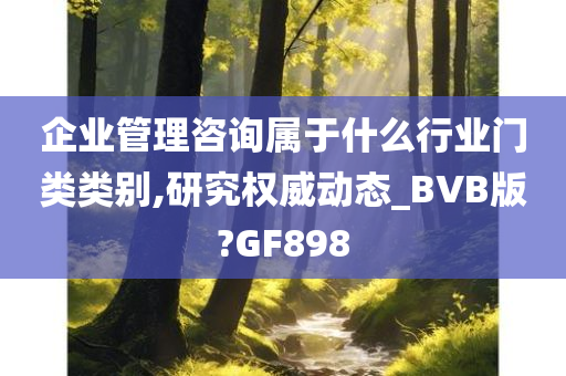 企业管理咨询属于什么行业门类类别,研究权威动态_BVB版?GF898