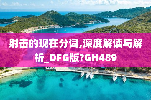 射击的现在分词,深度解读与解析_DFG版?GH489