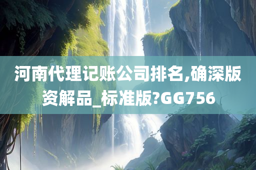 河南代理记账公司排名,确深版资解品_标准版?GG756