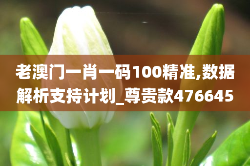 老澳门一肖一码100精准,数据解析支持计划_尊贵款476645