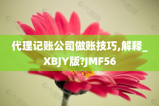 代理记账公司做账技巧,解释_XBJY版?JMF56