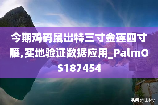 今期鸡码鼠出特三寸金莲四寸腰,实地验证数据应用_PalmOS187454