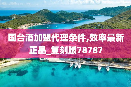 国台酒加盟代理条件,效率最新正品_复刻版78787