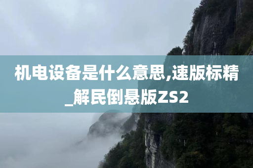 机电设备是什么意思,速版标精_解民倒悬版ZS2