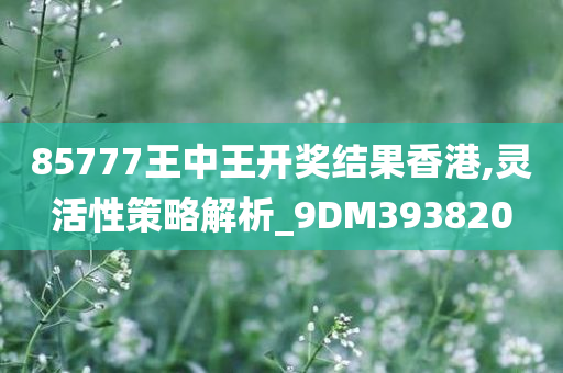 85777王中王开奖结果香港,灵活性策略解析_9DM393820