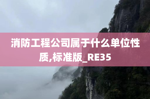 消防工程公司属于什么单位性质,标准版_RE35