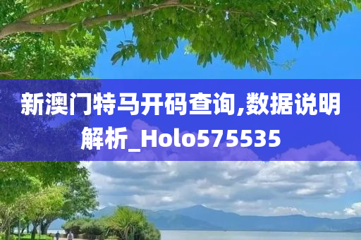 新澳门特马开码查询,数据说明解析_Holo575535