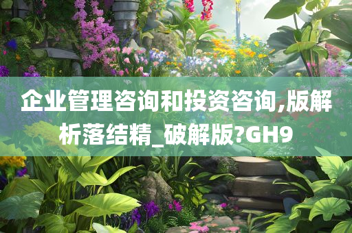 企业管理咨询和投资咨询,版解析落结精_破解版?GH9