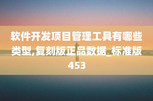 软件开发项目管理工具有哪些类型,复刻版正品数据_标准版453