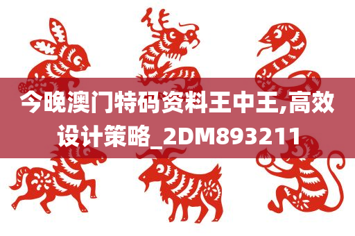 今晚澳门特码资料王中王,高效设计策略_2DM893211