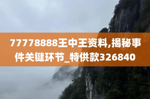 77778888王中王资料,揭秘事件关键环节_特供款326840