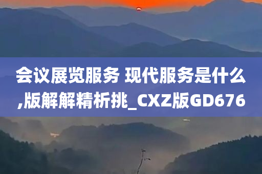 会议展览服务 现代服务是什么,版解解精析挑_CXZ版GD676