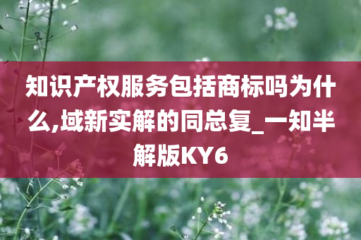 知识产权服务包括商标吗为什么,域新实解的同总复_一知半解版KY6