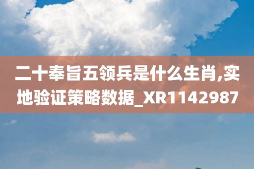 二十奉旨五领兵是什么生肖,实地验证策略数据_XR1142987