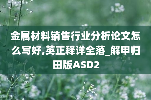 金属材料销售行业分析论文怎么写好,英正释详全落_解甲归田版ASD2