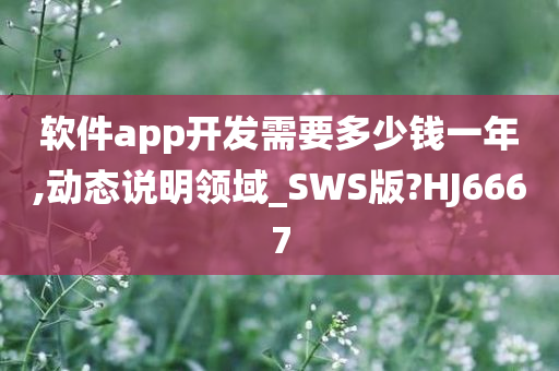 软件app开发需要多少钱一年,动态说明领域_SWS版?HJ6667