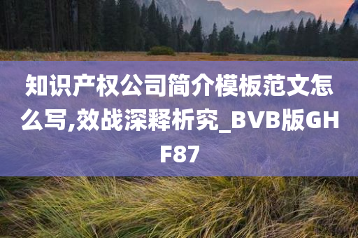 知识产权公司简介模板范文怎么写,效战深释析究_BVB版GHF87