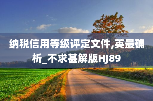 纳税信用等级评定文件,英最确析_不求甚解版HJ89