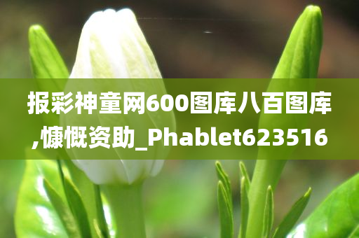 报彩神童网600图库八百图库,慷慨资助_Phablet623516